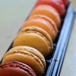 Knead Bakery Box of 8 Macarons