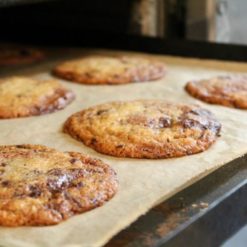 Knead Bakery Double Chocolate Chip Cookie Pack of 5
